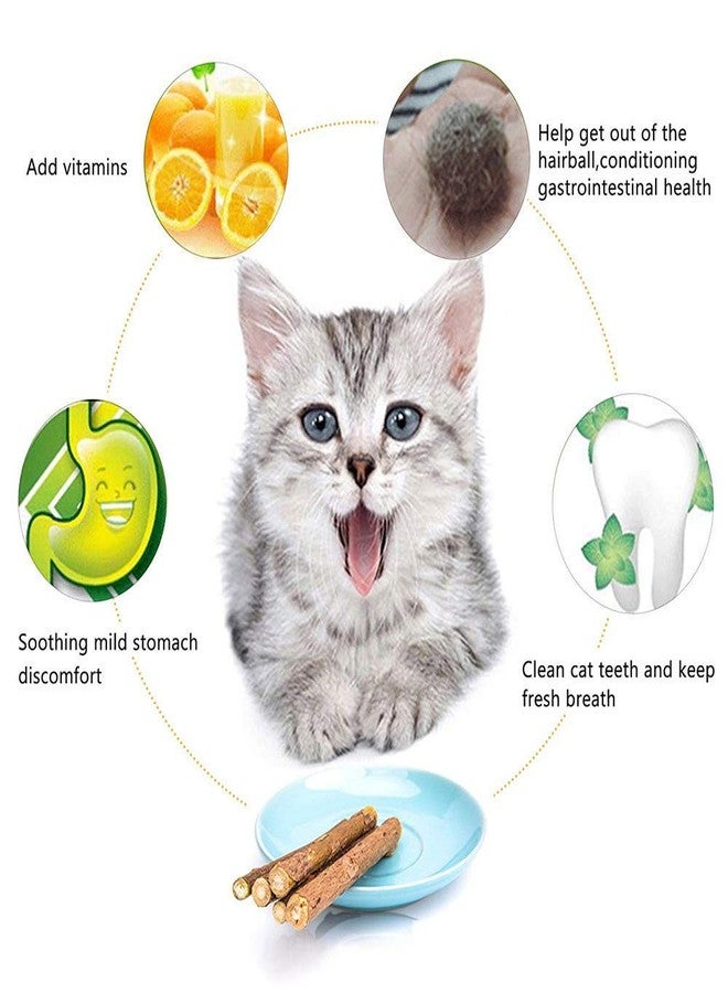 WoLover 10 PCS Cat Catnip Sticks, Natural Matatabi Silvervine Sticks - Cleaning Teeth Molar Tools Kitten Chew Toy Natural Catnip Cats Toy - Image 2